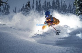 杀死比赛!劳埃德后撤步压哨三分命中砍29分,波兰狂胜12分晋级四强