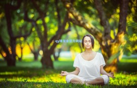 2021/22赛季英超联赛技巧秀,艺术与科学的完美融合