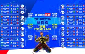 黄蜂队宣布解雇主帅博雷戈 乔丹亲掌最终决策权